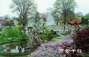 宿州三中：宿州三中花园（老照片）