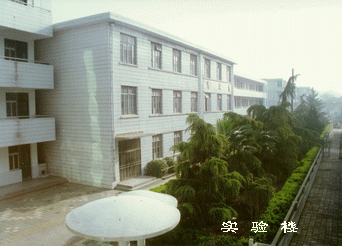 宿州三中：宿州三中后排教学楼（老照片）